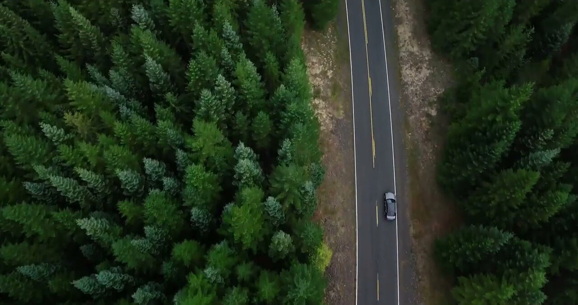 Vehicle driving on highway through Pacific Northwest forest